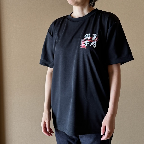 レビュー投稿の拡大画像