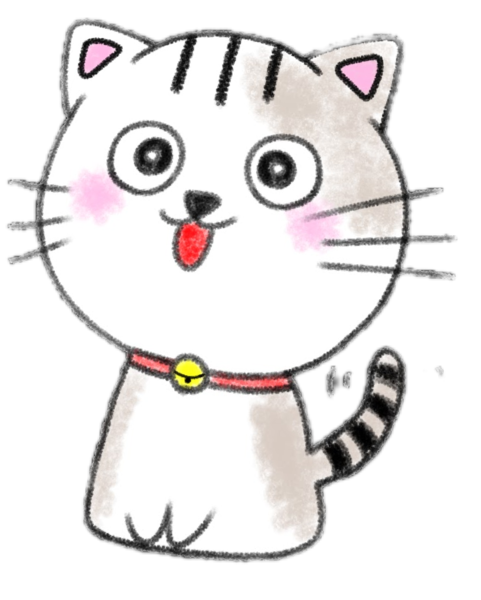 レビュー投稿の拡大画像