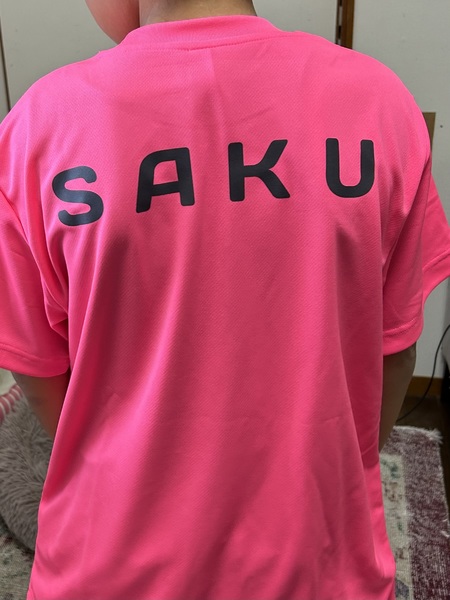 レビュー投稿の拡大画像