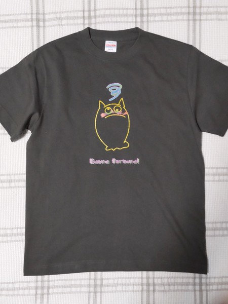 レビュー投稿の拡大画像