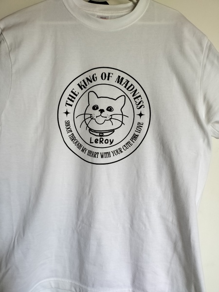 レビュー投稿の拡大画像