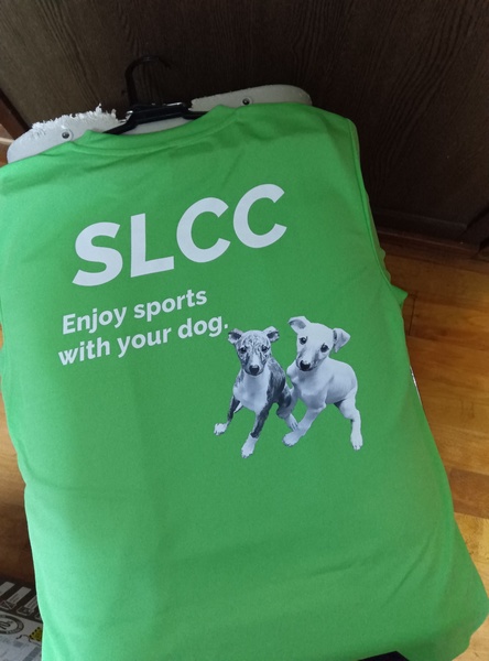 レビュー投稿の拡大画像