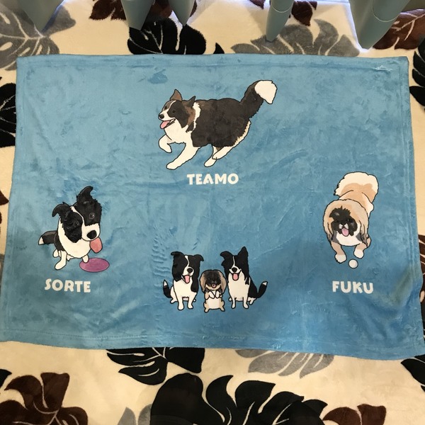 レビュー投稿の拡大画像