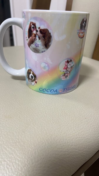 レビュー投稿の拡大画像