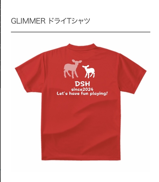 レビュー投稿の拡大画像