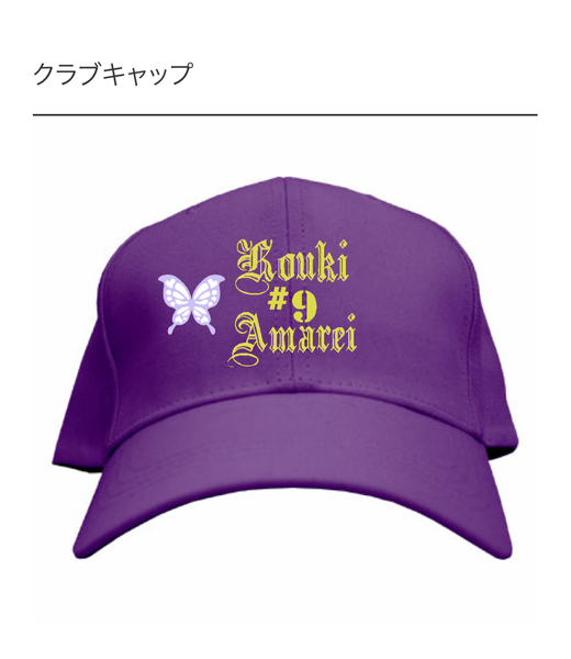 レビュー投稿の拡大画像