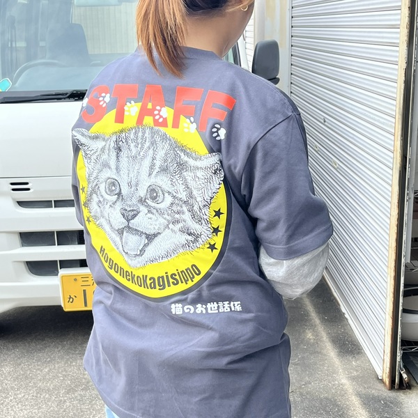 レビュー投稿の拡大画像