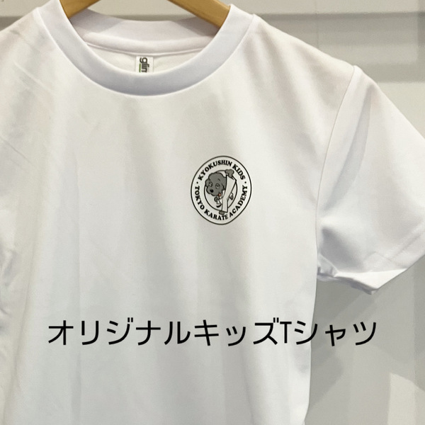 レビュー投稿の拡大画像
