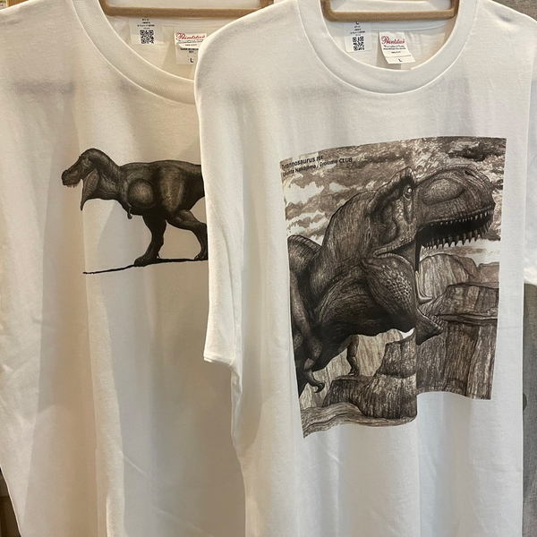 レビュー投稿の拡大画像