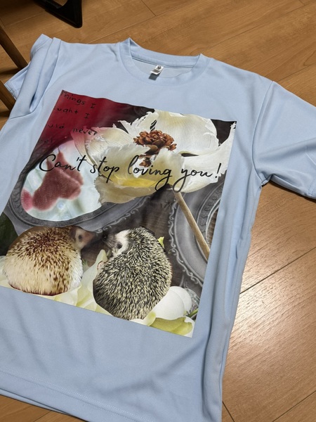 レビュー投稿の拡大画像