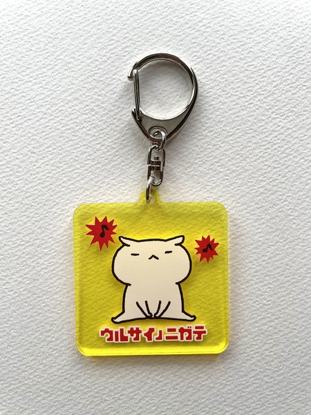レビュー投稿の拡大画像