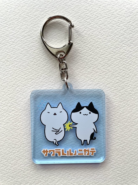 レビュー投稿の拡大画像