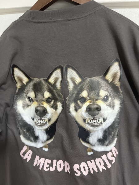 レビュー投稿の拡大画像