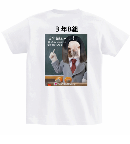 レビュー投稿の拡大画像