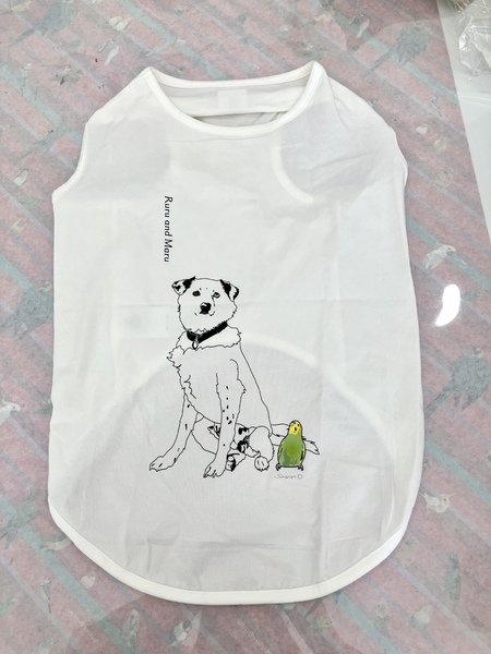 レビュー投稿の拡大画像