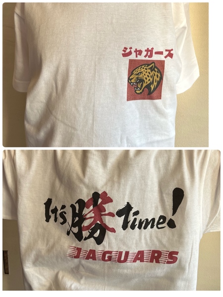 レビュー投稿の拡大画像