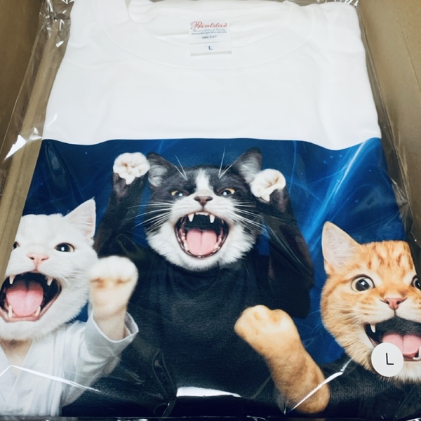 レビュー投稿の拡大画像