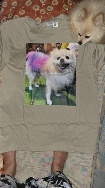 レビュー投稿の拡大画像