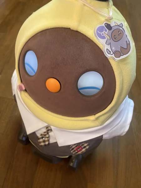 レビュー投稿の拡大画像