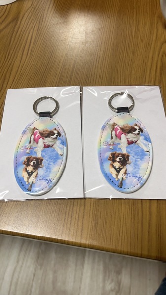 レビュー投稿の拡大画像