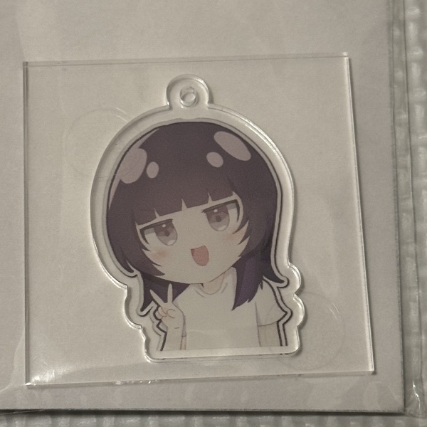レビュー投稿の拡大画像