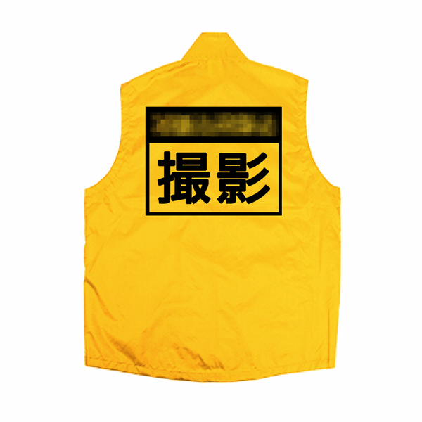レビュー投稿の拡大画像