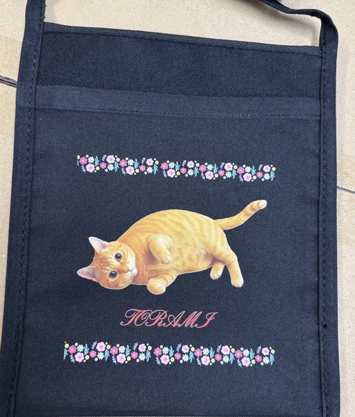 レビュー投稿の拡大画像