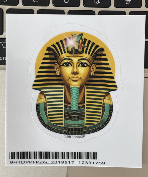 レビュー投稿の拡大画像