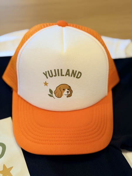 レビュー投稿の拡大画像