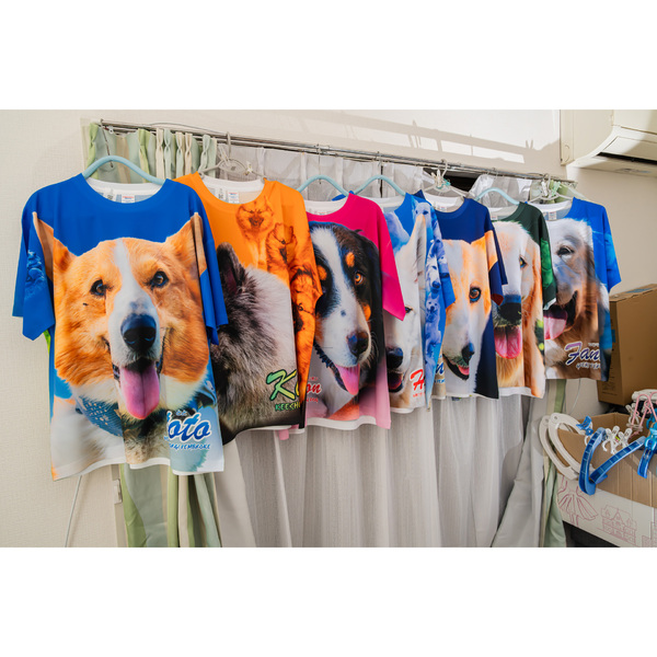 レビュー投稿の拡大画像