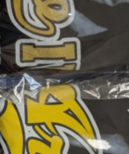 レビュー投稿の拡大画像