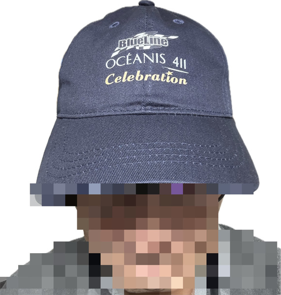 レビュー投稿の拡大画像