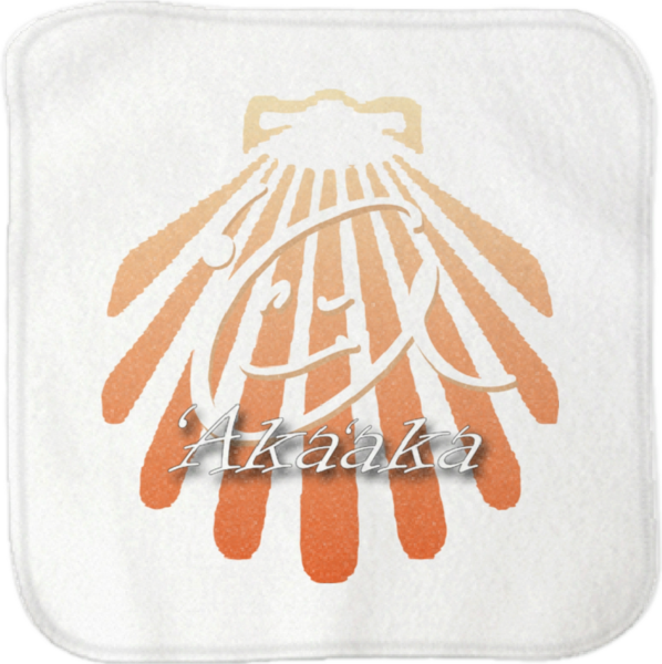 レビュー投稿の拡大画像