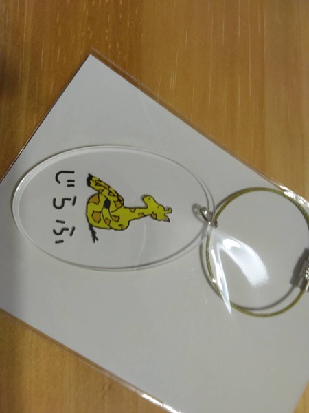 レビュー投稿の拡大画像