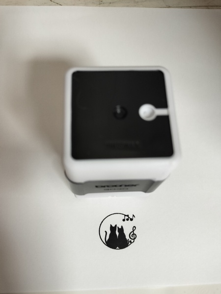 レビュー投稿の拡大画像