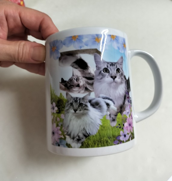 レビュー投稿の拡大画像