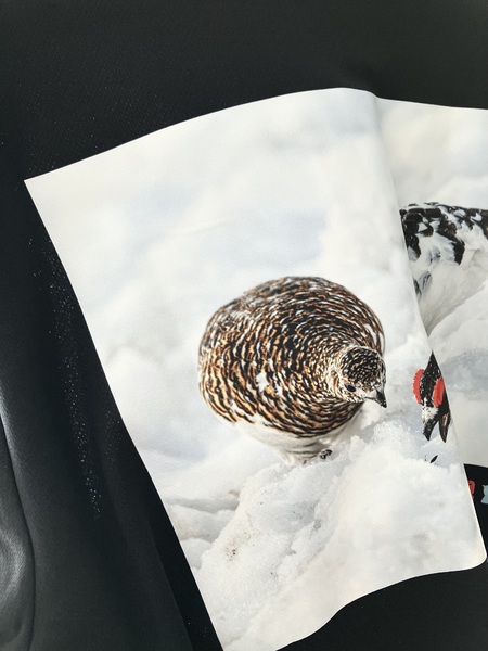 レビュー投稿の拡大画像