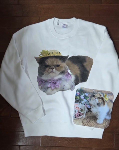 レビュー投稿の拡大画像