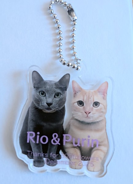 レビュー投稿の拡大画像