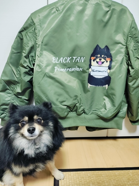 レビュー投稿の拡大画像