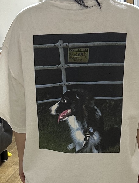 レビュー投稿の拡大画像