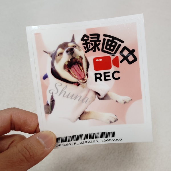 レビュー投稿の拡大画像