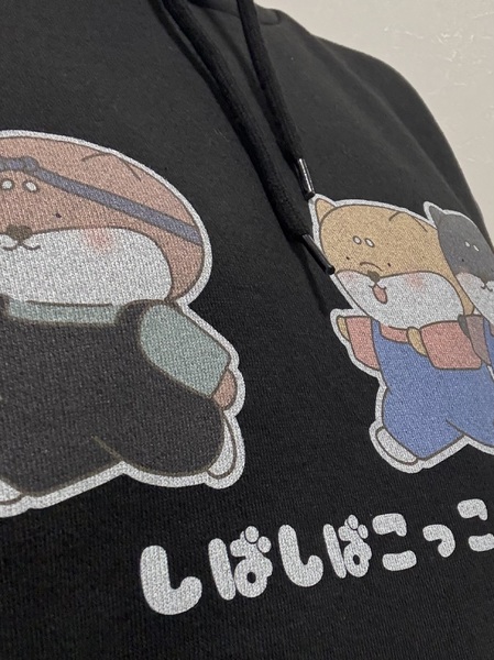 レビュー投稿の拡大画像