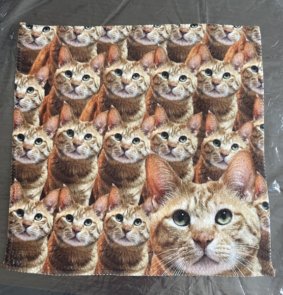 レビュー投稿の拡大画像