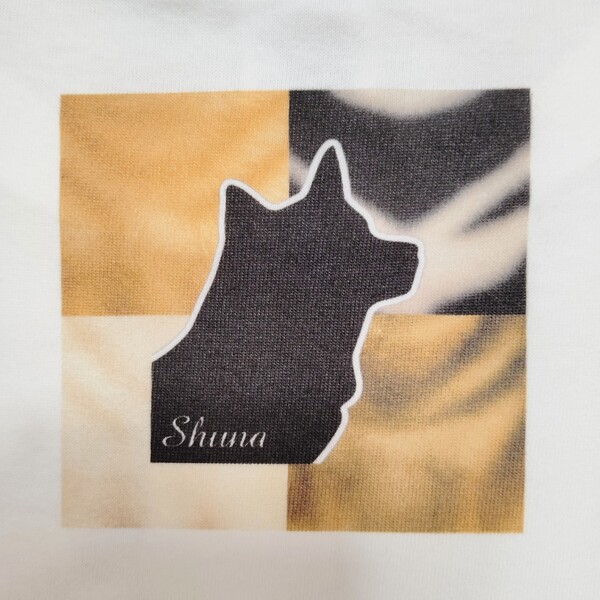 レビュー投稿の拡大画像