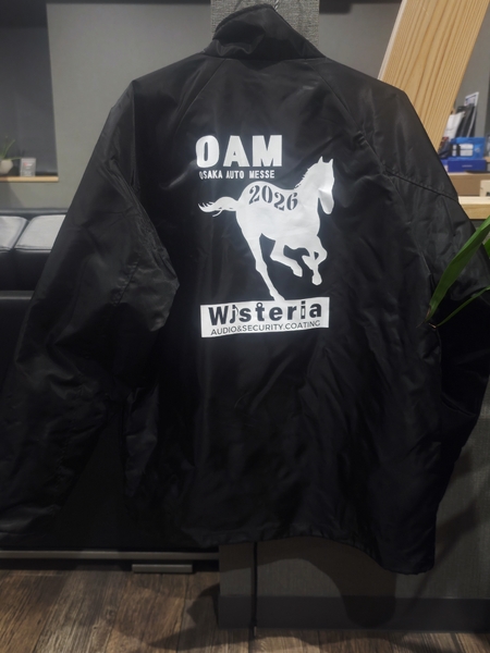 レビュー投稿の拡大画像