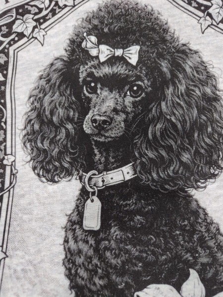 レビュー投稿の拡大画像