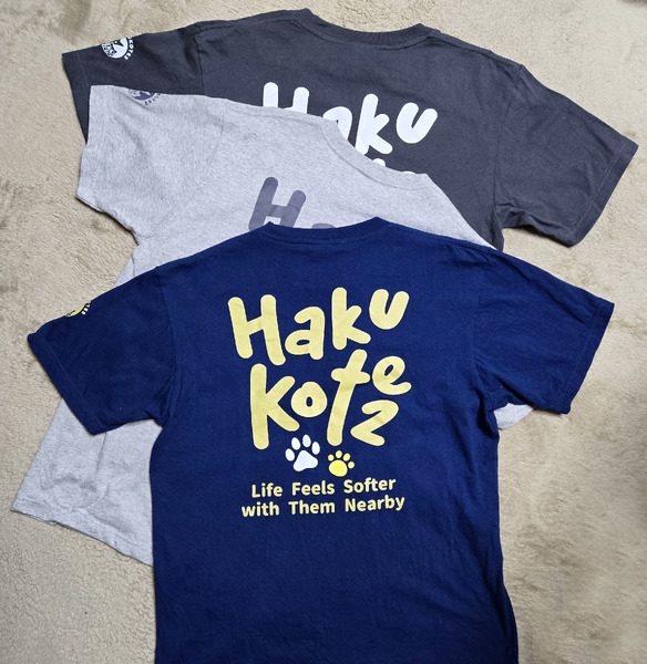 レビュー投稿の拡大画像