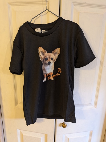 レビュー投稿の拡大画像