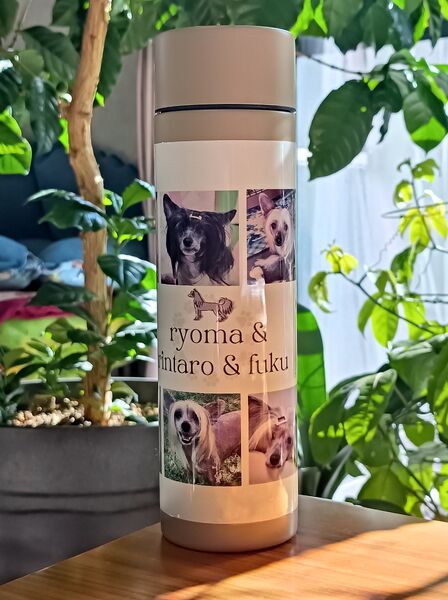 レビュー投稿の拡大画像